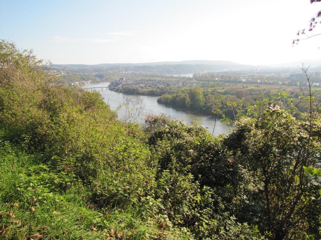 Haus Lahneck Bei Koblenz Villa Lahnstein Kültér fotó